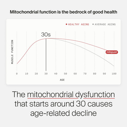 Timeline Mitopure Urolithin A Longevity Supplement 60 Count Softgels