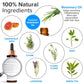 HairStem Follicle-boosting Triceutical Serum for Thicker Fuller Hair 2 fl Oz