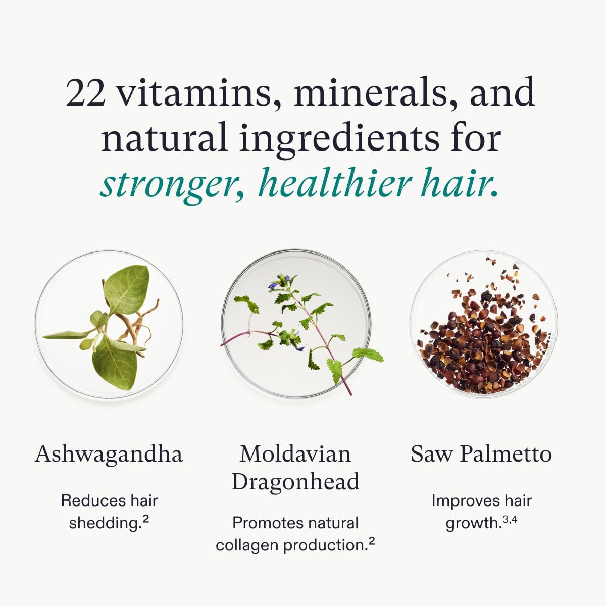 Nutrafol Women's Vegan Hair Supplements 120 Caps USA Supplements Direct  B0B61TZ676