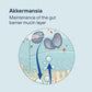 Pendulum Akkermansia Probiotic 90 Capsules USA Supplements Direct  B0CGJWF7SN