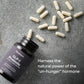 Pendulum GLP-1 Probiotic 30 Capsules USA Supplements Direct  B0CY3VZDYP
